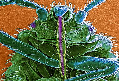 赛车题材电影《F1：赛道风云》（暂译）发布全新预告，APXGP车队正式亮相